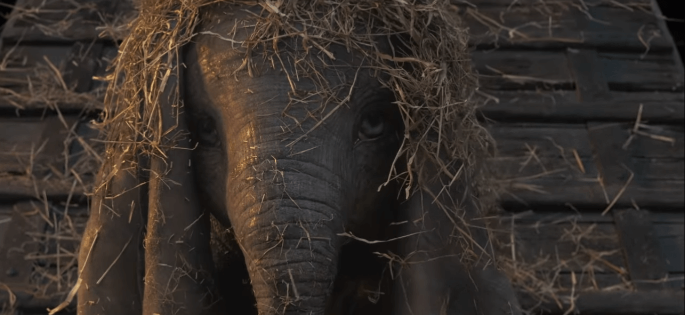 Dumbo | Novo clipe inédito faz com que as crianças conheçam ainda mais, nosso pequeno elefante 